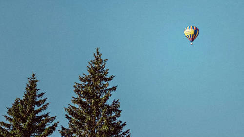Air balloon in the sky with trees in the background