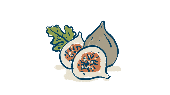 Figs illustration