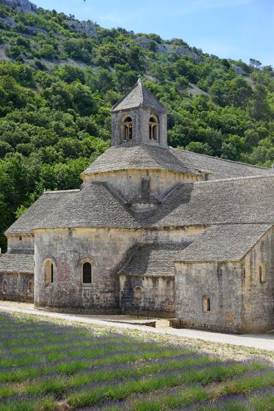 Abside romane de l'abbaye de Sénanque encadrée de champs de lavande, Luberon