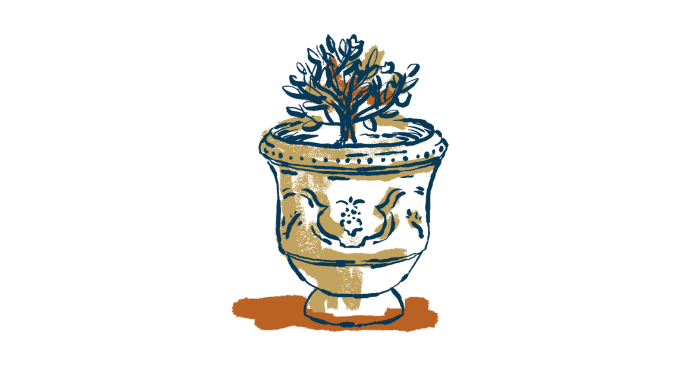 Vase illustration