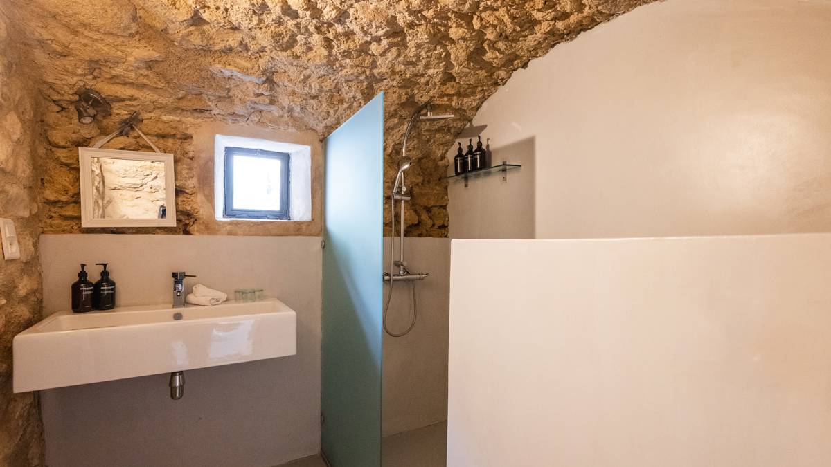 A clicked photo of the bathroom features arranged bathing essentials and a shower in the corner.
