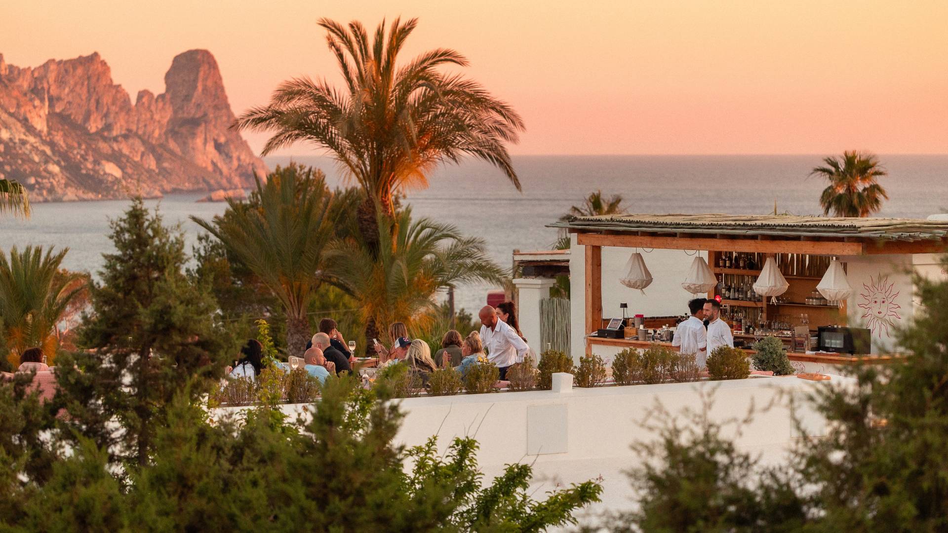 Petunia Restaurants