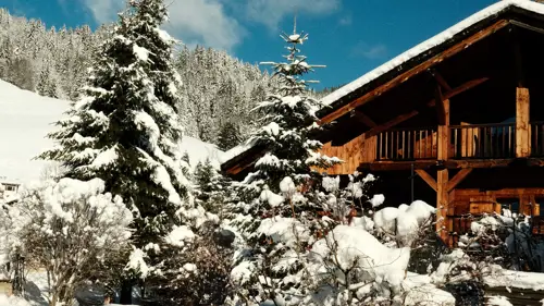 A clicked photo of a house in snowy weather, surrounded by pine trees covered in snow.