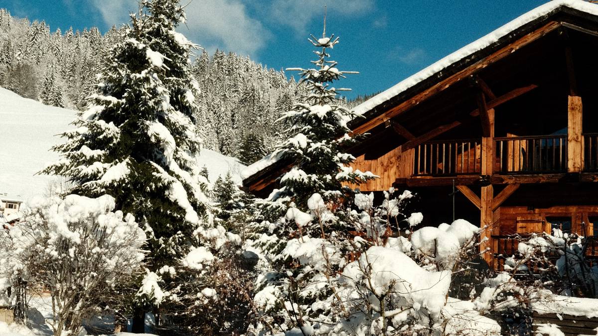 A clicked photo of a house in snowy weather, surrounded by pine trees covered in snow.