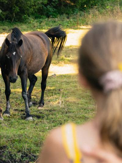 Balade à cheval aux environs de l'hôtel Beaumier L'Alpaga à Megève