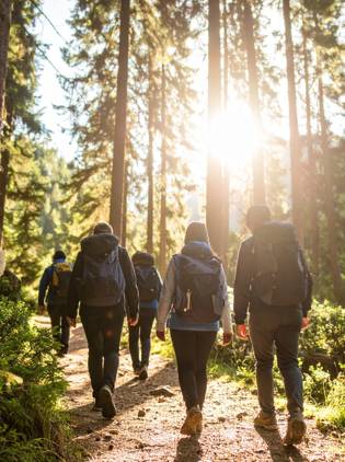 Group hiking