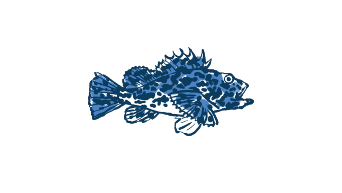 Blaues Fisch-Logo