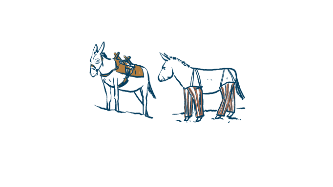 Donkeys  illustration