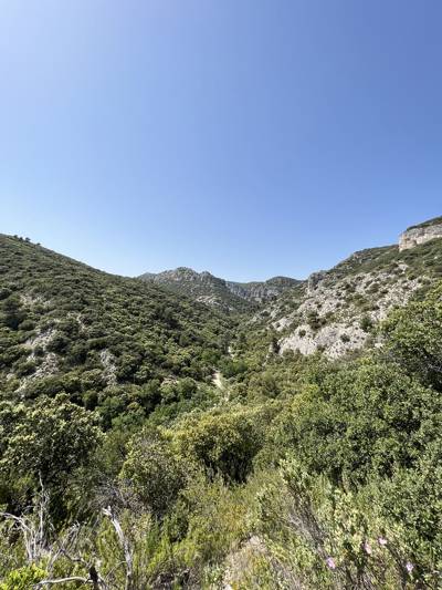 Paysage sauvage du Luberon pour la randonnée près des hôtels Beaumier en Provence