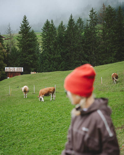 Au cœur de la nature au Grand Hoel Belvedere, Wengen