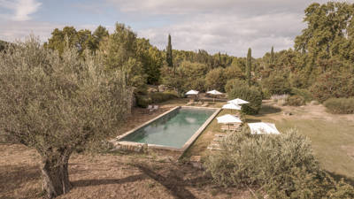 Piscine et oliviers dans le parc paysager du Galinier, bastide Beaumier à Lourmarin, Luberon